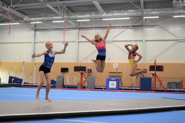 Inflatable Gymnast Tumbled Mat - Tumbling Air Track 评论和价格