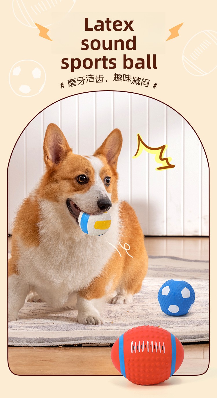 ZHAYA Pet Squeaky Interactive  - Rugby Training Ball 评论和价格