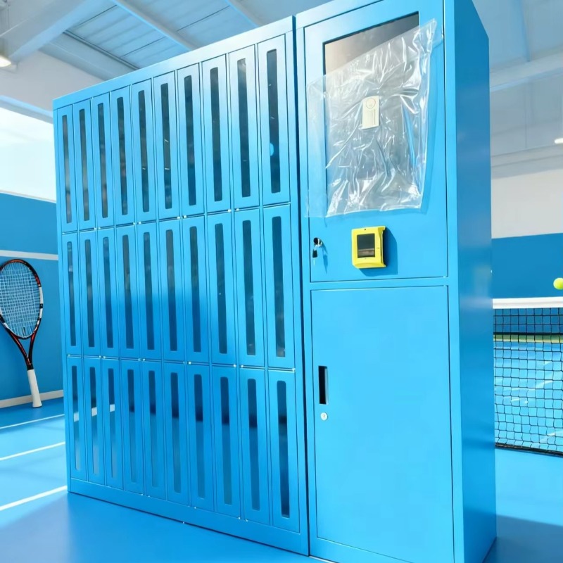 Custom High-quality Club Gym S - Sports Equipment Locker 评论和价格