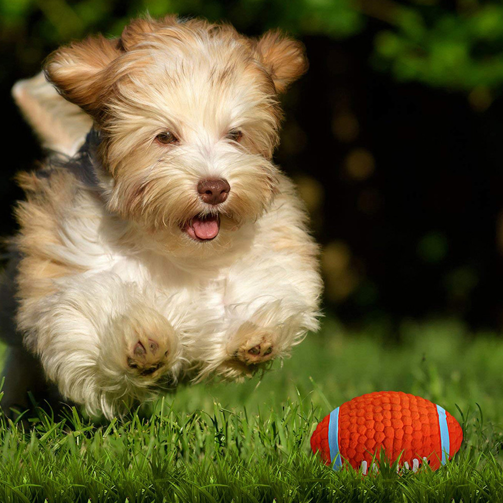 2Pcs Sound Chew Ball Set for P - Rugby Training Ball 评论和价格